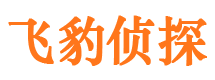 巧家市婚外情调查